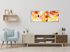 Obraz skleněný detaily žluté květy plumerie - 60 x 90 cm
