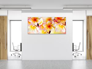 Obraz skleněný detaily žluté květy plumerie - 60 x 90 cm
