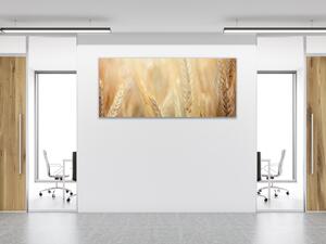 Obraz skleněný detail zralé klasy pšenice - 30 x 60 cm