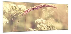 Obraz skleněný detail letní louka - 30 x 40 cm