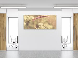 Obraz skleněný detail letní louka - 30 x 60 cm