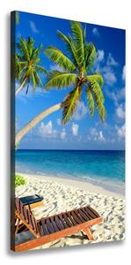 Vertikální Foto obraz na plátně Tropická pláž ocv-83358985