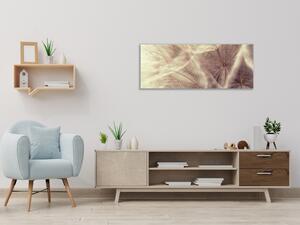 Obraz skleněný béžové chmýří odkvetlé pampelišky - 30 x 60 cm