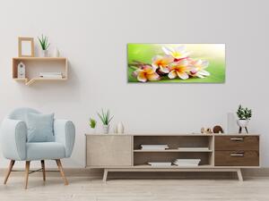 Obraz skleněný květ plumerie na zeleném podkladu - 30 x 60 cm