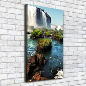 Vertikální Foto obraz canvas Vodopád Igazu ocv-83377998