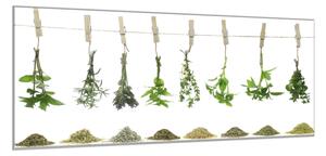 Obraz do kuchyně čerstvé bylinky visí na laně - 40 x 60 cm
