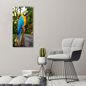Vertikální Vertikální Foto obraz na plátně do obýváku Papoušek Ara ocv-83558713
