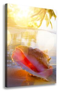 Vertikální Foto obraz na plátně Mušle na pláži ocv-83555961