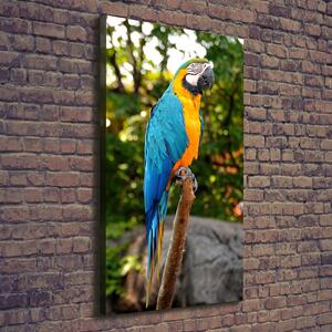 Vertikální Vertikální Foto obraz na plátně do obýváku Papoušek Ara ocv-83558713
