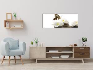Obraz skleněný bílé květy, motýl, oblázky - 30 x 60 cm