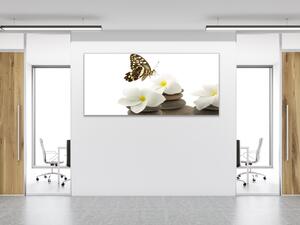 Obraz skleněný bílé květy, motýl, oblázky - 30 x 60 cm
