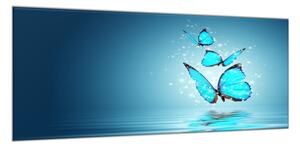 Obraz skleněný modrý motýl nad hladinou - 40 x 60 cm