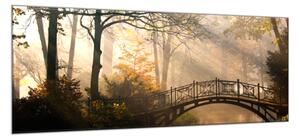 Obraz skleněný most v podzimním parku - 100 x 150 cm