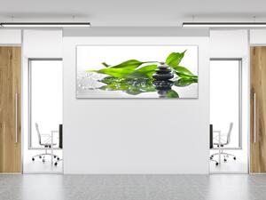 Obraz skleněný zelené listy a kameny zen - 30 x 60 cm
