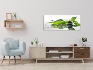 Obraz skleněný zelené listy a kameny zen - 34 x 72 cm
