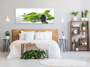 Obraz skleněný zelené listy a kameny zen - 30 x 60 cm