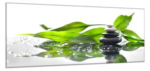 Obraz skleněný zelené listy a kameny zen - 60 x 90 cm