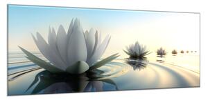 Obraz na stěnu květy leknínů na hladině vody - 30 x 60 cm