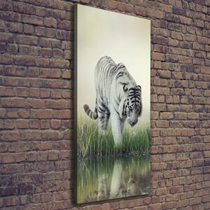 Vertikální Foto obraz canvas Bílý tygr ocv-84071201