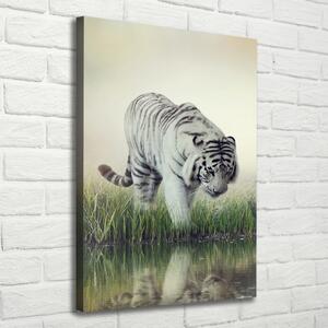 Vertikální Foto obraz canvas Bílý tygr ocv-84071201