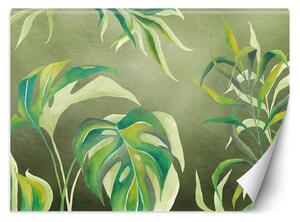 Fototapeta Listy monstery na zeleném pozadí Materiál: Vliesová, Rozměry: 200 x 140 cm