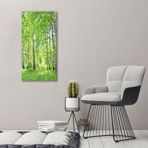 Vertikální Foto obraz canvas Břízový les ocv-84161730