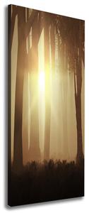 Vertikální Foto obraz canvas Mlha v lese ocv-84176608