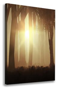 Vertikální Foto obraz canvas Mlha v lese ocv-84176608