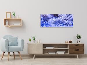 Obraz skleněný sasanka mořská - 50 x 70 cm