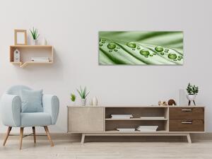 Obraz skleněný rosa na zeleném listu - 30 x 60 cm