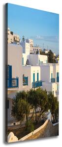 Vertikální Foto obraz na plátně Mykonos Řecko ocv-84844001