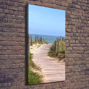 Vertikální Foto obraz na plátně Stezka na pláž ocv-84956196