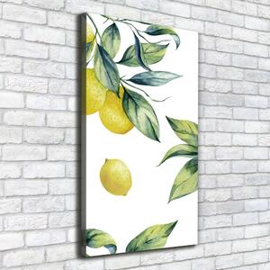Vertikální Moderní obraz canvas na rámu Citrony ocv-85316646