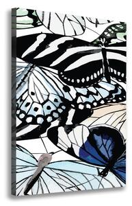 Vertikální Moderní fotoobraz canvas na rámu Motýli ocv-85755564