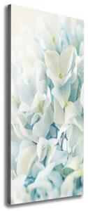 Vertikální Foto obraz na plátně Květ hortensie ocv-85998494