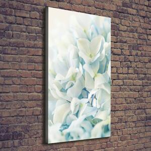 Vertikální Foto obraz na plátně Květ hortensie ocv-85998494