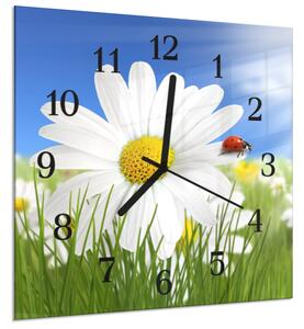 Nástěnné hodiny 30x30cm bílý květ kopretiny a beruškou - plexi