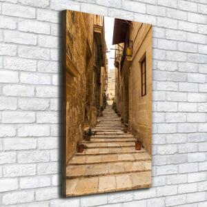 Vertikální Foto obraz na plátně Uličky na Maltě ocv-86643862