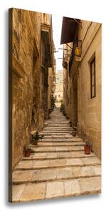 Vertikální Foto obraz na plátně Uličky na Maltě ocv-86643862