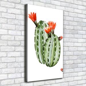 Vertikální Moderní obraz canvas na rámu Kaktusy ocv-86911813