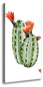 Vertikální Moderní obraz canvas na rámu Kaktusy ocv-86911813