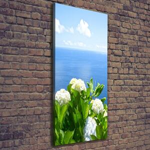 Vertikální Foto obraz na plátně Hortenzie moře ocv-87726143