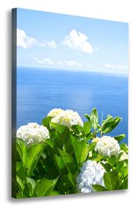 Vertikální Foto obraz na plátně Hortenzie moře ocv-87726143