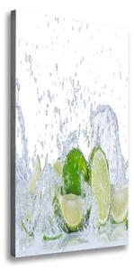 Vertikální Moderní obraz canvas na rámu Limetky ocv-88385364