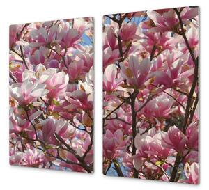 Ochranná deska květy magnolie - 60x60cm / Bez lepení na zeď