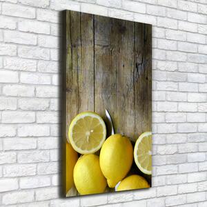 Vertikální Moderní obraz canvas na rámu Citrony ocv-88521131