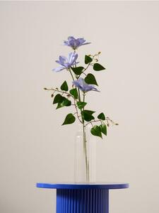 Sinsay - Decorative plant – clematis - modrá