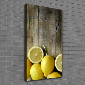 Vertikální Moderní obraz canvas na rámu Citrony ocv-88521131