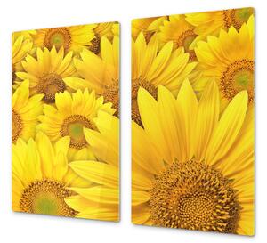 Ochranná deska žluté květy slunečnice - 52x60cm / Bez lepení na zeď