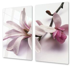 Ochranná deska květ magnolie - 52x60cm / S lepením na zeď